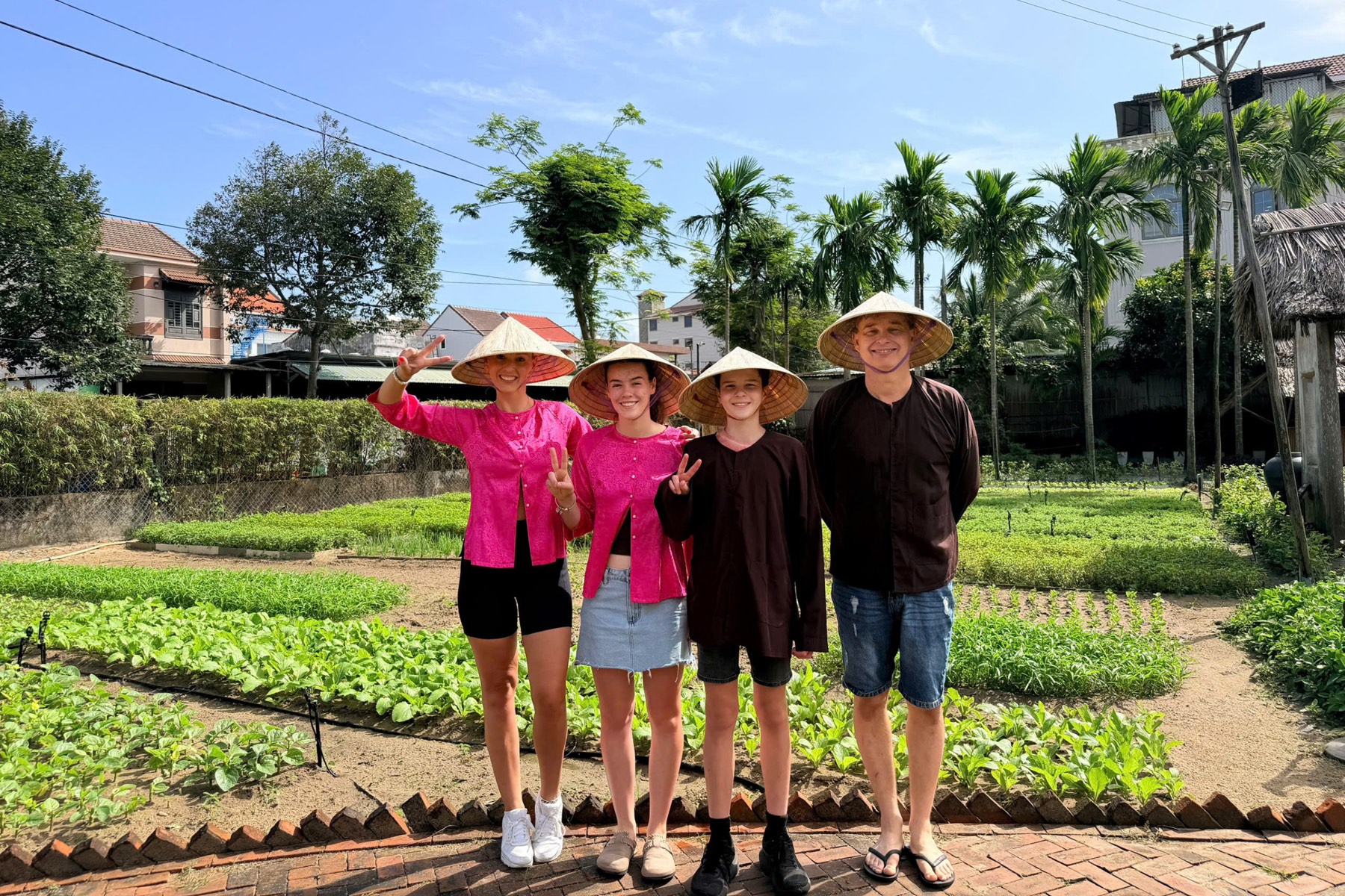Cánh đồng lúa quanh Caman Village