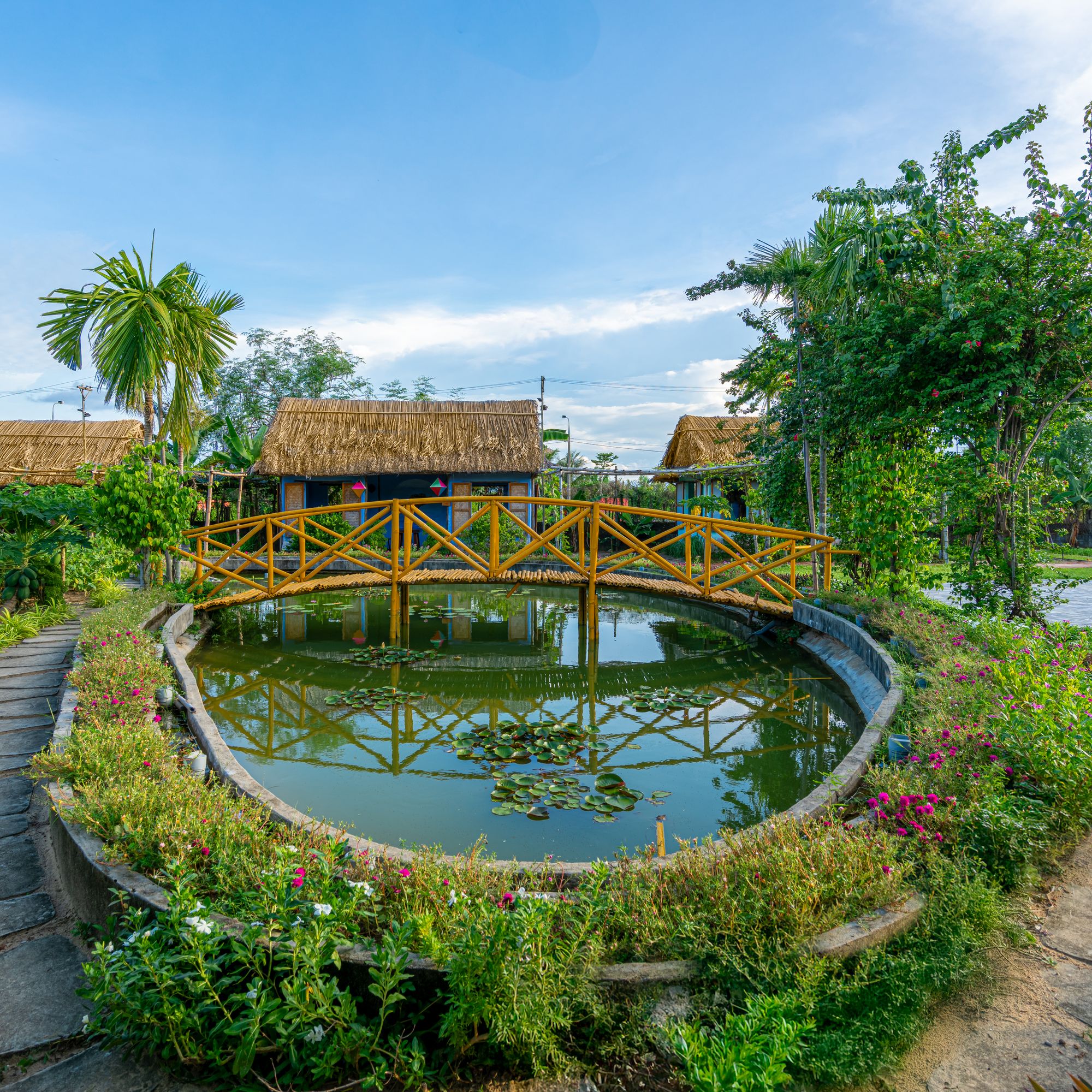 Hồ sen trong khuôn viên Caman Village